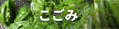こごみ/北海道物産展よりおいしい北海道直送天然食材のオ福ワケ/こごみ・行者ニンニク・ふき・鹿肉・チーズ・はちみつ・鶴居村の恵