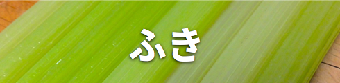 ふき/北海道物産展よりおいしい北海道直送天然食材のオ福ワケ/こごみ・行者ニンニク・ふき・鹿肉・チーズ・はちみつ・鶴居村の恵