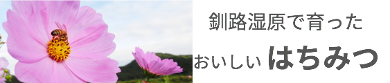 はちみつ/北海道物産展よりおいしい北海道直送天然食材のオ福ワケ/こごみ・行者ニンニク・ふき・鹿肉・チーズ・はちみつ・鶴居村の恵