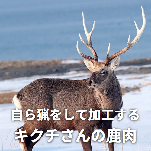 自ら猟をして加工/菊池さんの山菜