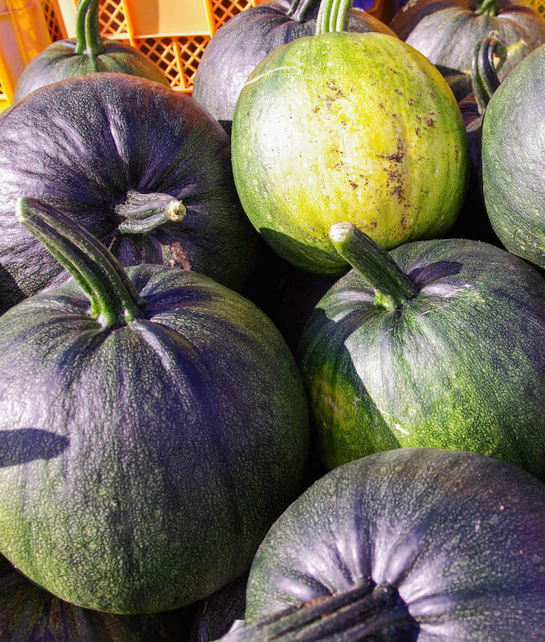 コーちゃんの野菜/北海道物産展よりおいしい北海道直送天然食材のオ福ワケ/こごみ・行者ニンニク・ふき・鹿肉・チーズ・はちみつ・鶴居村の恵
