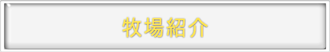 牧場紹介/ラム肉、マトン、ジンギスカン、羊毛販売の羊牧場と羊工房・Lamb Ma 屋<br>/北海道物産展よりおいしい北海道直送天然食材のオ福ワケ